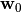 \mathbf{w}_0